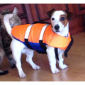 Спасательный жилет для собак в Перми