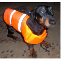 Спасательный жилет для собак в Перми