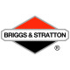 Двигатели Briggs-Stratton в Перми